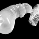 Illustration for article titled Cannibal Larvae Prove That Even Baby Ants Are Terrifying